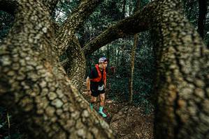 BIB: 
                            <button type="button" onclick="openModal(25703590)" class="btn btn-primary btn-sm float-right btn-popup" data-toggle="modal" data-target=".modal-high-quality">
                        <i class="fas fa-shopping-cart"></i> Add to Cart
                    </button>
                                            <button type="button" onclick="isThisMe(25703590, true)" class="btn btn-success btn-sm float-right btn-popup btn-isme hidden" data-toggle="tooltip" data-placement="bottom" title="นี่คือรูปของคุณใช่ไหม คลิกที่นี่เพื่อเอาเข้าอัลบั้ม">
                        <i class="fas fa-plus"></i> Add to album
                    </button>
                    <button type="button" onclick="isThisMe(25703590, false)" class="btn btn-warning btn-sm float-right btn-popup btn-isnotme hidden">
                        <i class="fas fa-ban"></i> Remove from album
                    </button>